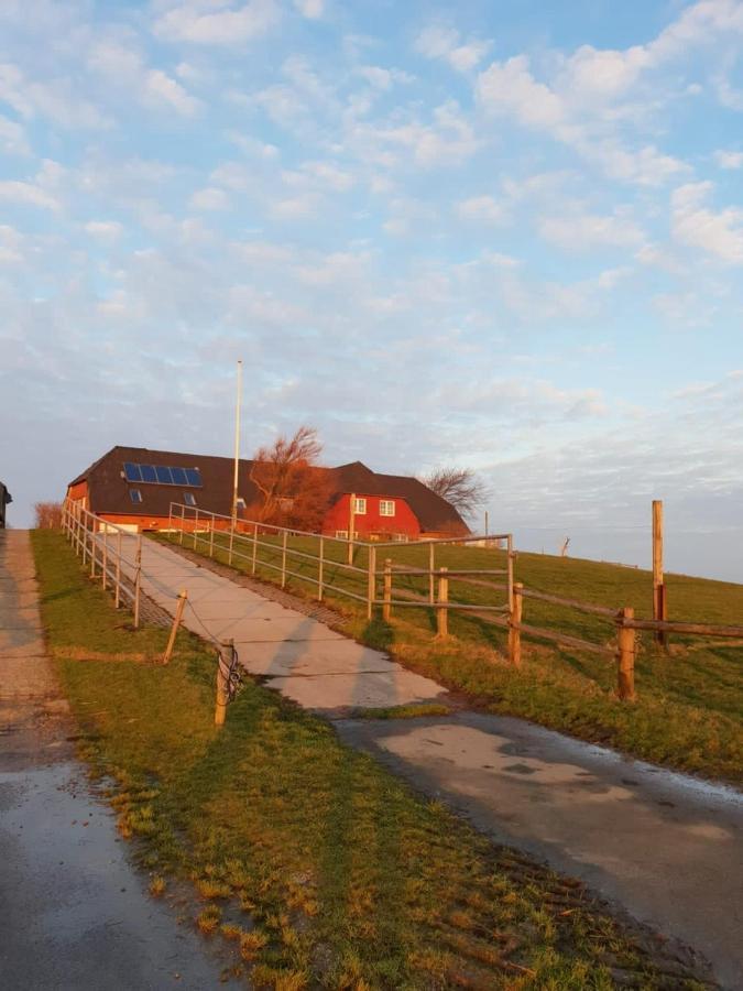Hare Ferienwohnungen Langeneß Eksteriør billede